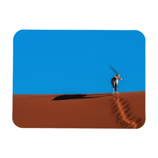 Oryx Antelope at the Namib Desert Magnet (Horizontal)