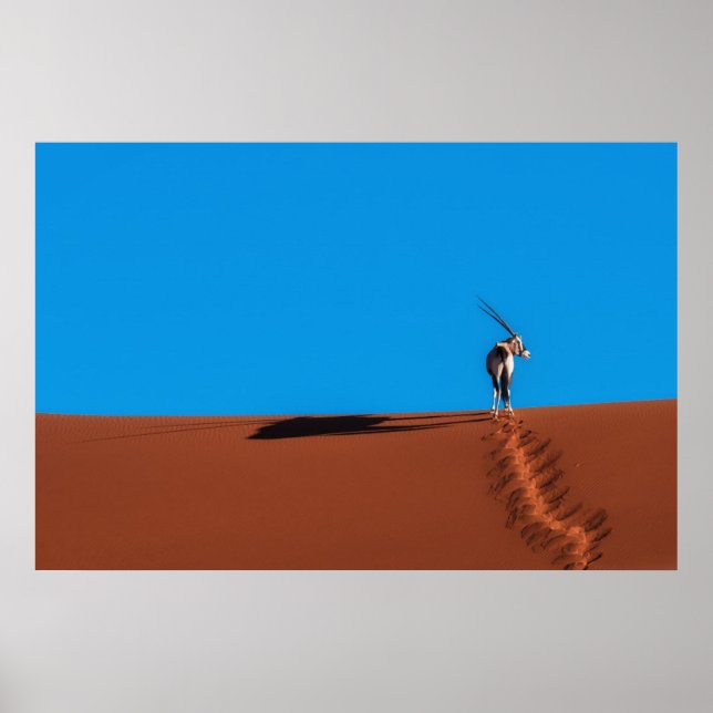 Oryx Antelope at the Namib Desert Poster (Front)