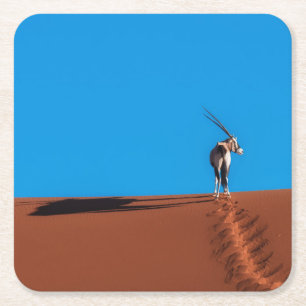 Oryx Antelope at the Namib Desert Square Paper Coaster