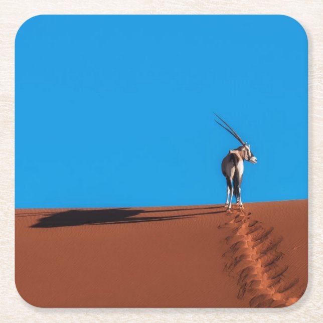 Oryx Antelope at the Namib Desert Square Paper Coaster (Front)