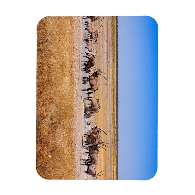 Oryx Antilopen in Namibia Magnet (Vertical)