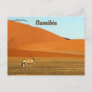 Oryx Gazella Namib Naukluft National Park Namibia Postcard