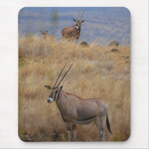 Oryx in Africa Mousepad