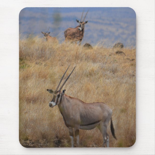 Oryx in Africa Mousepad (Front)