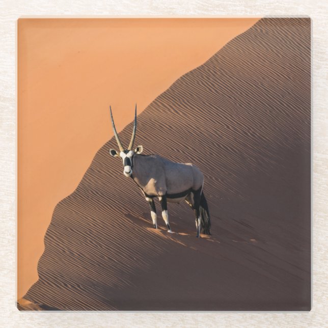 Oryx on the edge, Namibia Glass Coaster (Front)
