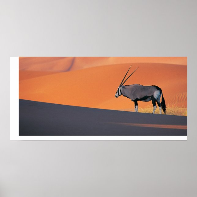Oryx Poster (Front)
