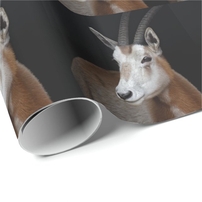 Oryx Wrapping Paper (Roll Corner)