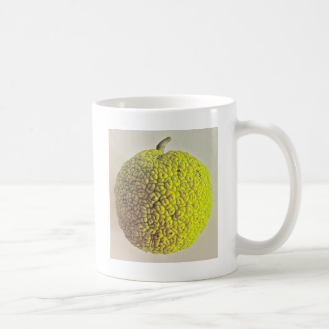 Osage Orange Coffee Mug (Right)