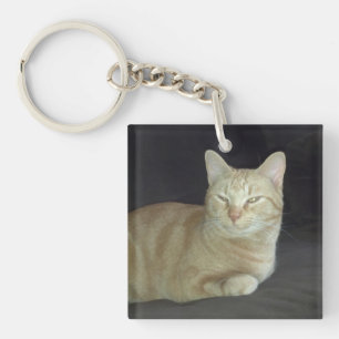 Oscar Cat Portrait Keychain