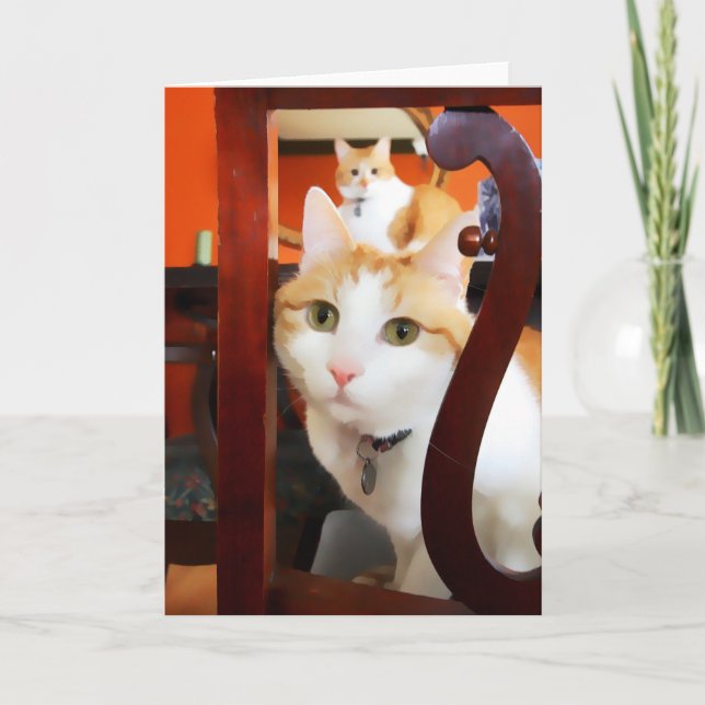 OSCAR & ERNIE heARTcats Card (Front)