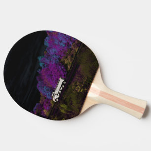 oscar leaves the party ping pong paddle