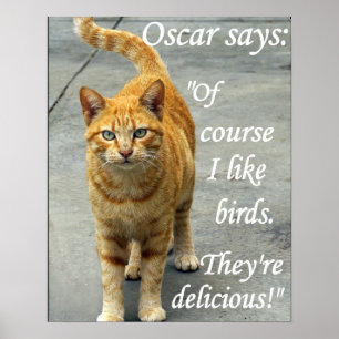 oscar loves birds poster