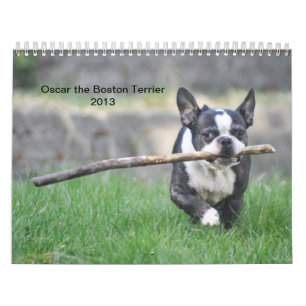 Oscar the Boston Terrier 2013 calender Calendar