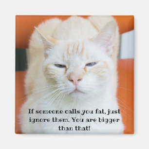Oscar the Insulting Funny Cat  Magnet