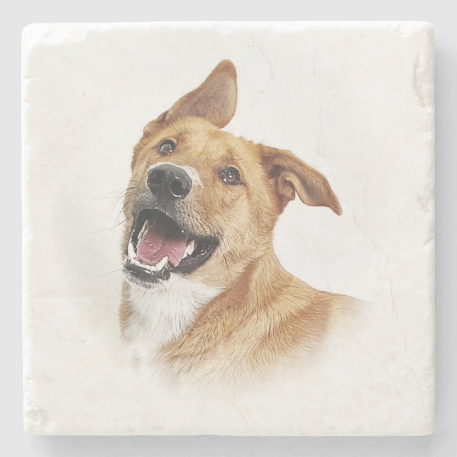 Oscar, the lab want to be, coaster (Front)