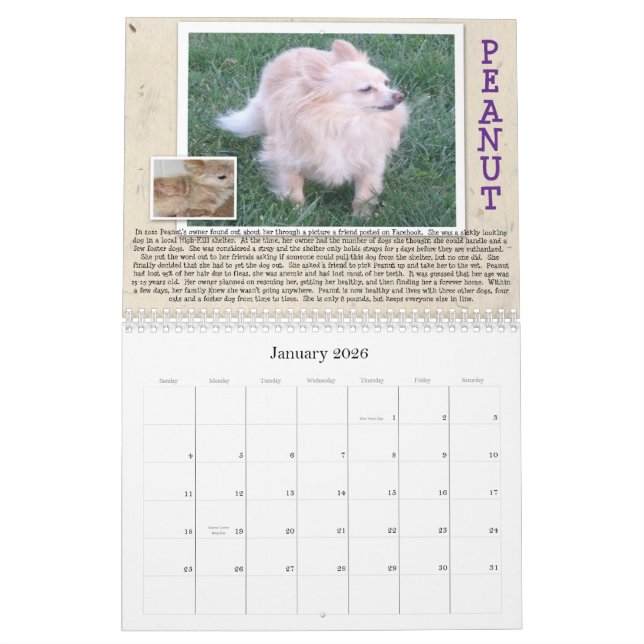 Oscar's Rescue Dog Calender Calendar (Jan 2026)