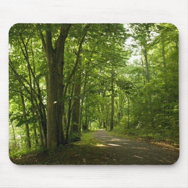 Osceloa Island Weir Dam Bristol Tennessee Mouse Pad (Front)