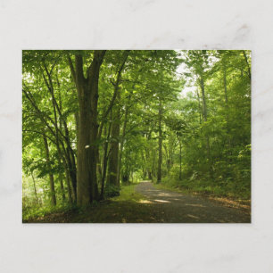 Osceloa Island Weir Dam Bristol Tennessee Postcard