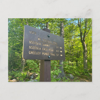 Osceola and East Osceola Postcard