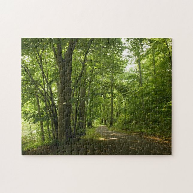 Osceola Island, Weir - Dam Bristol TN puzzle (Horizontal)