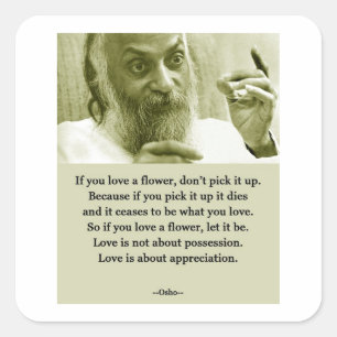 Osho Square Sticker