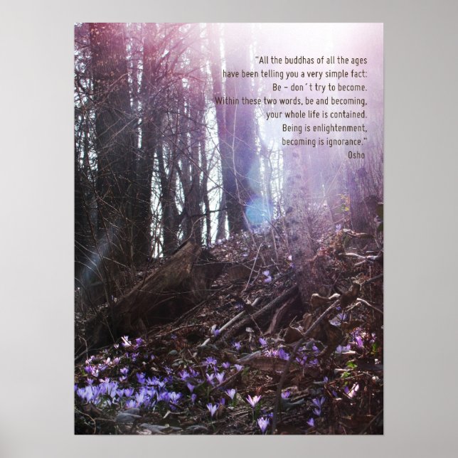 Osho Wisdom Quote Enlightenment Poster (Front)