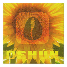 Oshun, goddess of beauty and sweet love