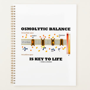 Osmolytic Balance Is Key To Life Na-K Pump Planner