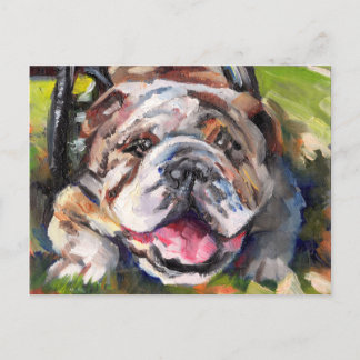 OSNEB Rescue Postcard, SemiGloss Invitation Postcard