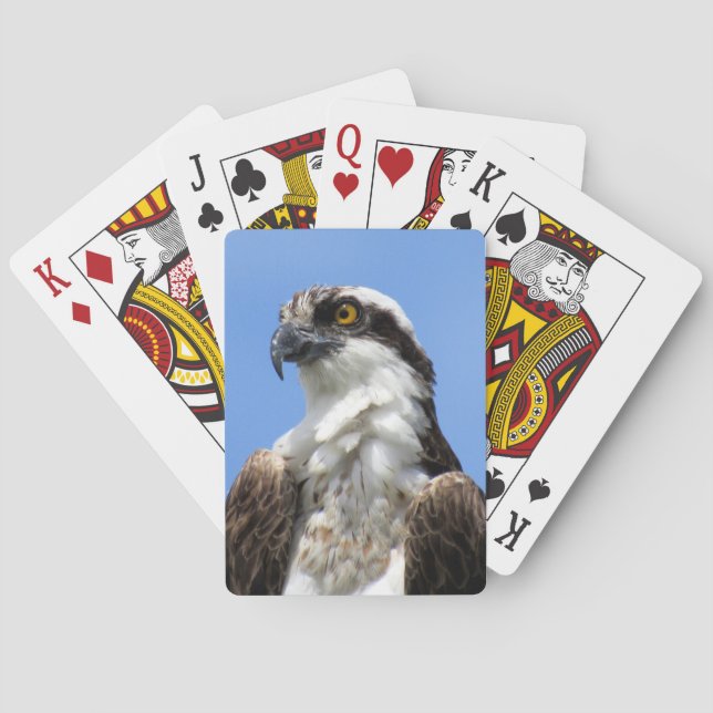 Osprey (4964) Playing Cards (Back)