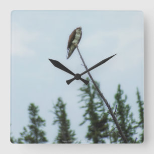Osprey 9028 square wall clock