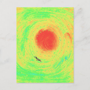 Osprey and Sun Postcard