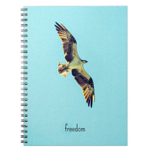 Osprey art notebook