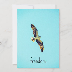 Osprey art thank you card