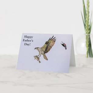 Osprey being chased by a red winged blackbird card