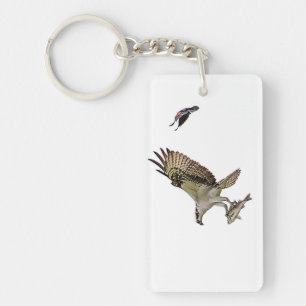 Osprey being chased by a red winged blackbird key ring