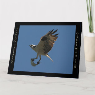 Osprey Bird & Fish Birthday Greeting Card