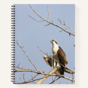 Osprey Bird Notebook