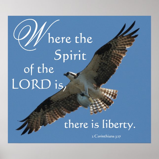 Osprey Bird Spirit of the LORD Print (Front)