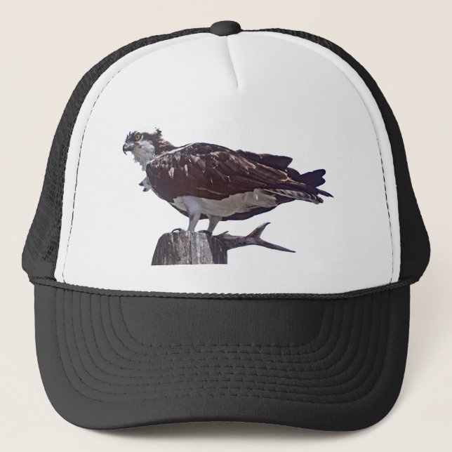 Osprey Bird Trucker Hat (Front)