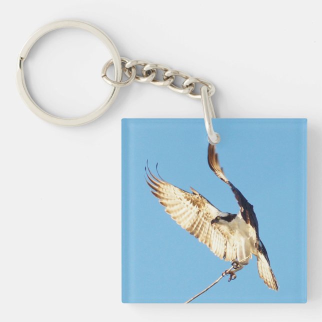 Osprey birds flying Acrylic Keychain (Front)