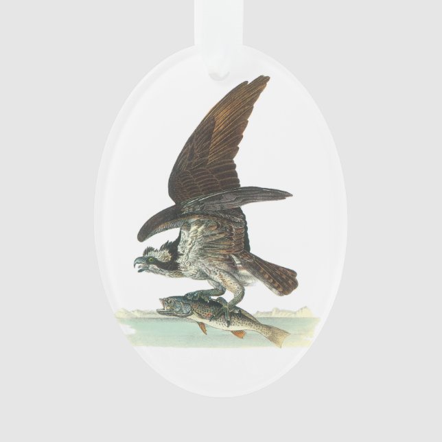 Osprey by Audubon Ornament (Front)
