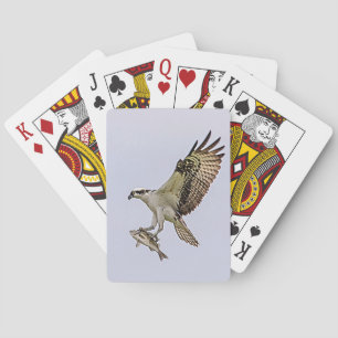 Osprey carrying a fish playing cards