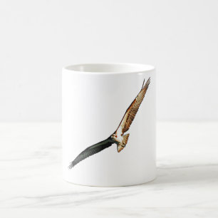 Osprey Coffee Mug