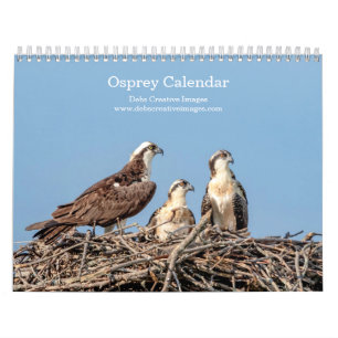 Osprey Family 2025 Calendar