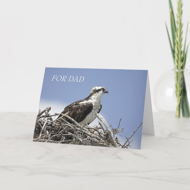 Osprey Father's Day Card (Front)