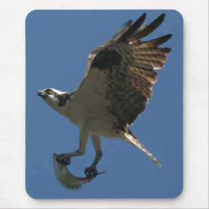 Osprey/Fish Mousepad