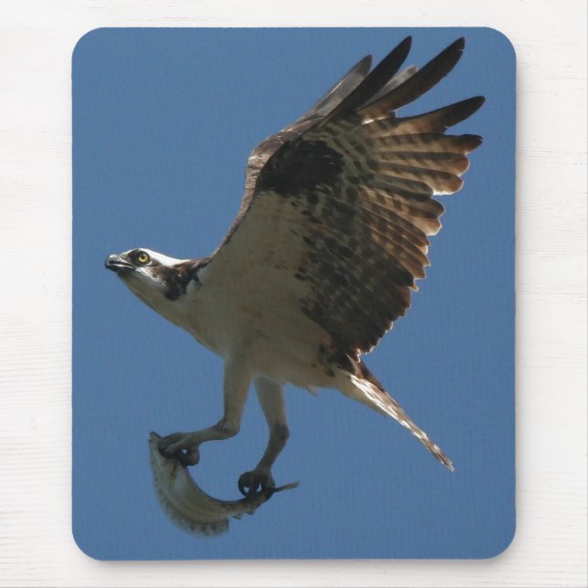 Osprey/Fish Mousepad (Front)