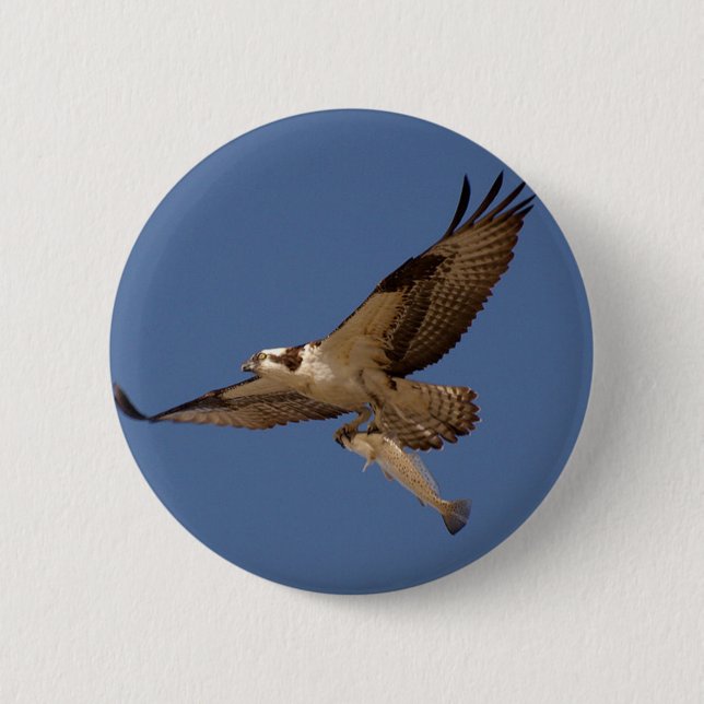 Osprey Fisher 6 Cm Round Badge (Front)