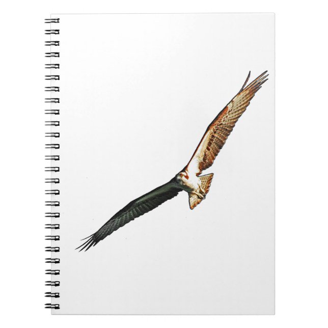 Osprey Flying Notebook (Front)